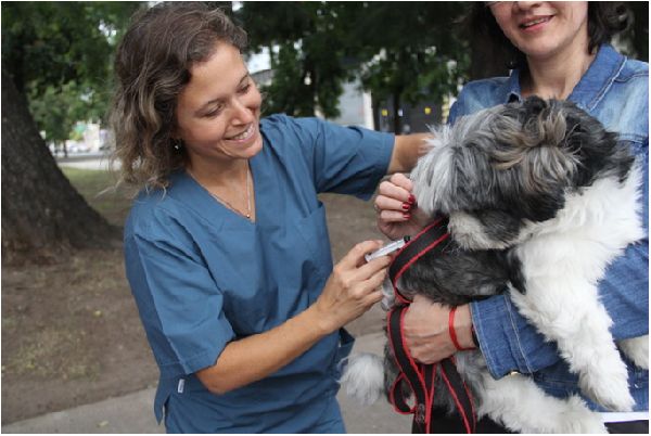 CampaÃ±a de VacunaciÃ³n AntirrÃ¡bica Gratuita para mascotas en las Comunas 9 y 10