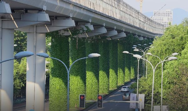 Linea Oeste La Comisión de Espacio Público y Medio Ambiente del Consejo Consultivo Comunal 9 propone la creación de un Parque de Enredaderas Nativas 