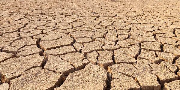 Linea Oeste Debilitamiento de las políticas ambientales en nuestro país 